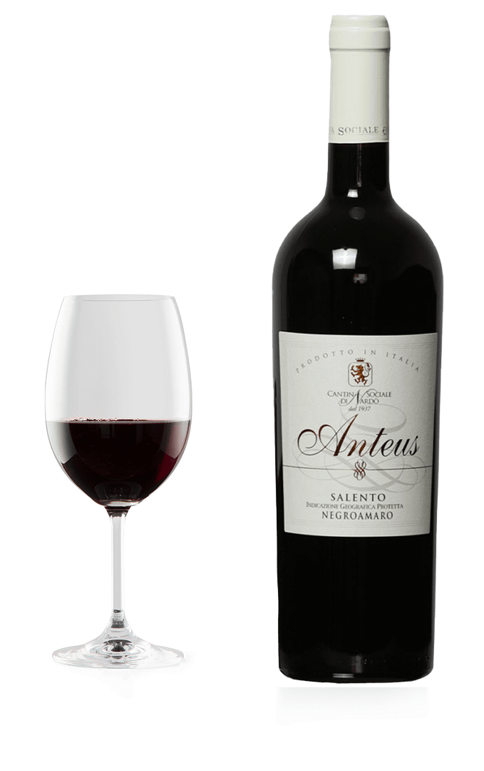 "Anteus" - Negroamaro - Rosso I.G.P.