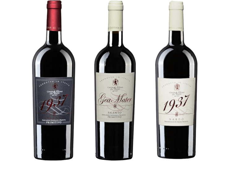 homepage-v2-vini-rossi