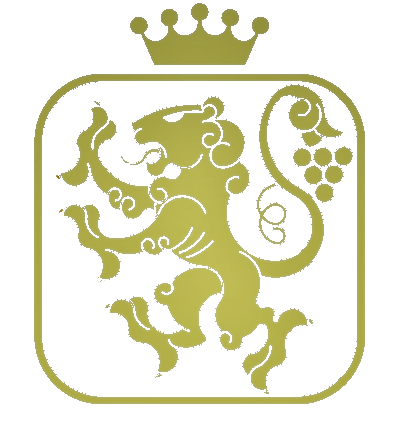 solo logo