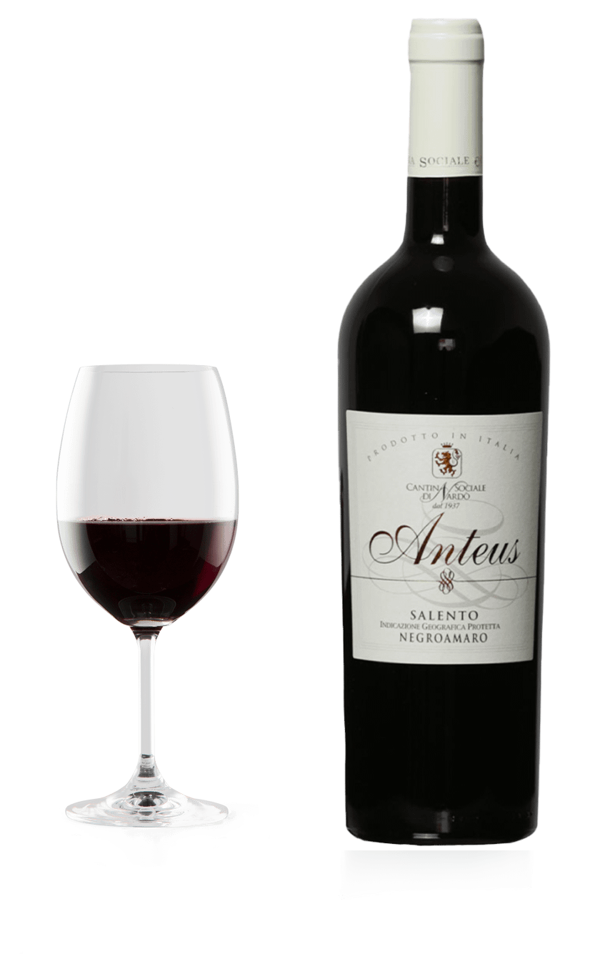 “Anteus” – Negroamaro – Rosso I.G.P.