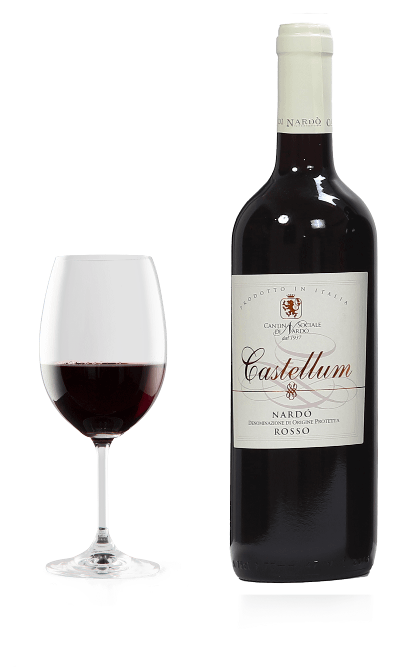 “Castellum” – Negroamaro – Rosso I.G.P.